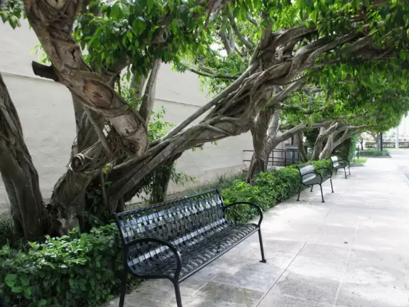 A tropical wonderland of palms, ferns, bromeliads, fountains, sculptures, rocks, ironwork gates, and pergolas, with the delightful scent of flowers filling the air.