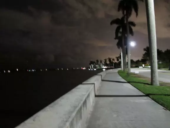 Wide walking path along the water with tropical flowers, piers, grand high rises, and palm trees- no shade though.