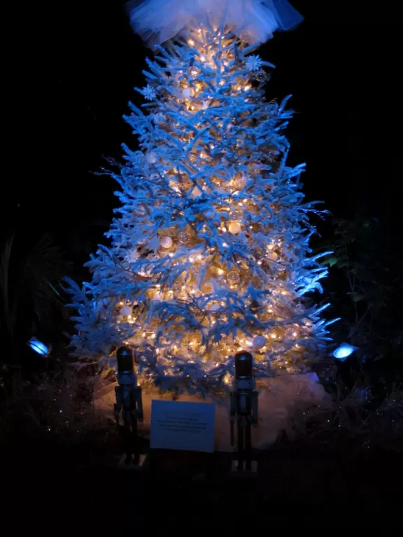 Paradise of tropical palms and plants, with large ominous sculptures and an interesting artist's studio.