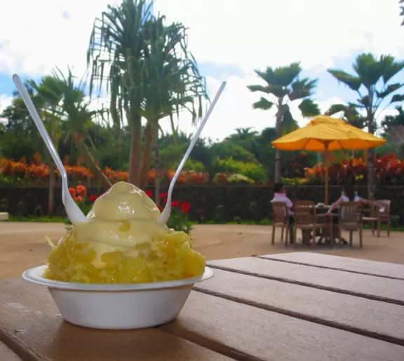 Delicious pineapple whip cones, train ride, garden tour, and world's largest maze!