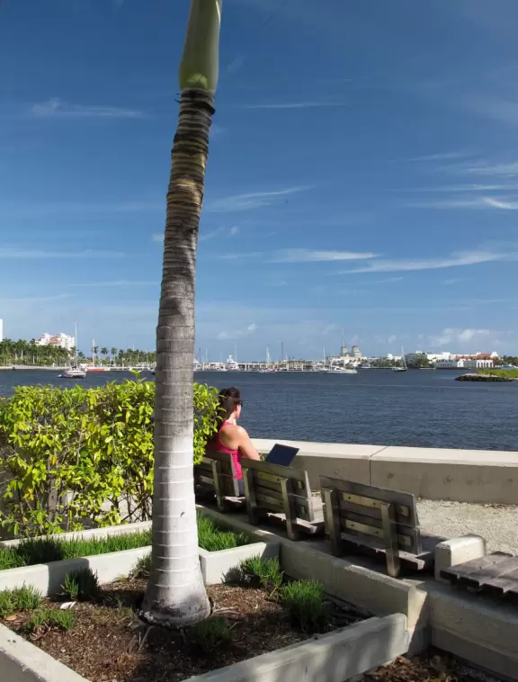 Wide walking path along the water with tropical flowers, piers, grand high rises, and palm trees- no shade though.