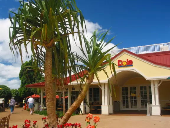 Delicious pineapple whip cones, train ride, garden tour, and world's largest maze!