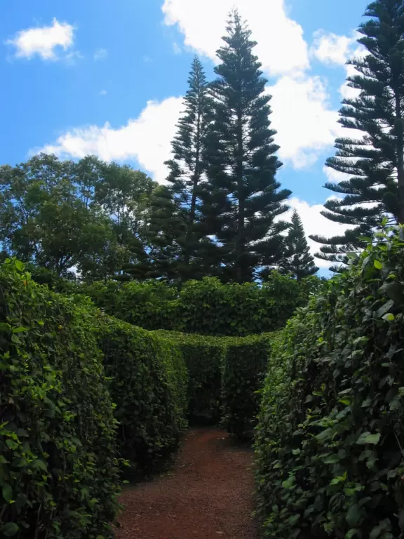 Delicious pineapple whip cones, train ride, garden tour, and world's largest maze!