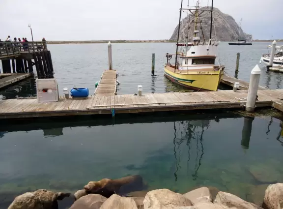 A delightful rock, beautiful wildlife, peaceful idyllic estuary, imaginative playground, and colorful little town.