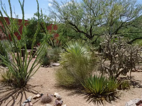 Interesting basic-looking museum with contraptions showing what people do to get across the border.
