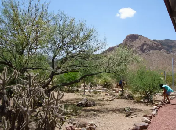 Attractive museum with displays about the cliff dwellings of native people in the area.