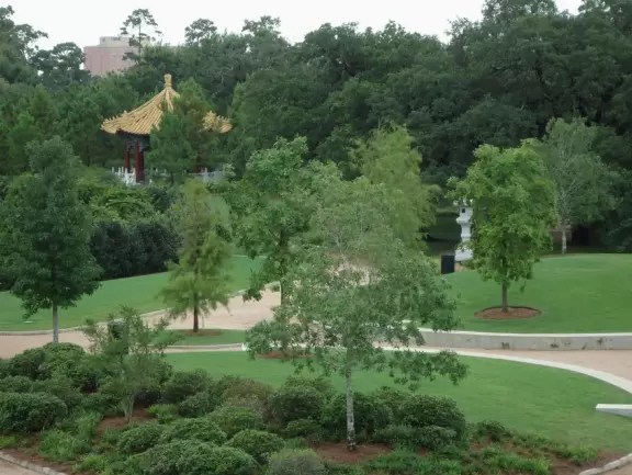 It's fun to walk to the top of the manmade hill at Hermann Park.