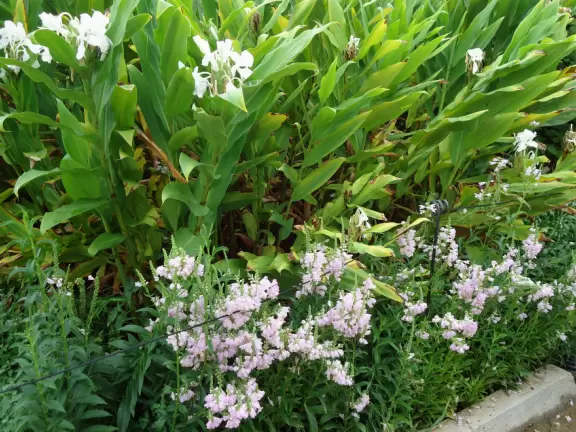 It's fun to walk to the top of the manmade hill at Hermann Park.