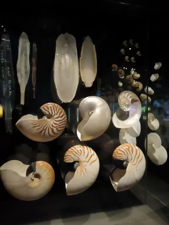 Fantastic museum with huge fossils, amazing dinosaurs, and lovely gems.