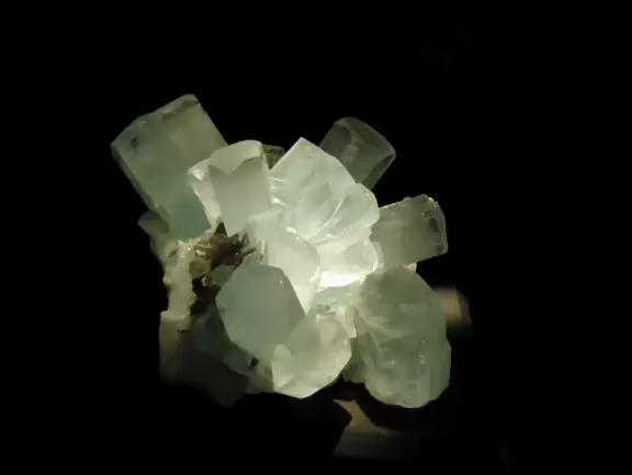 Fantastic museum with huge fossils, amazing dinosaurs, and lovely gems.