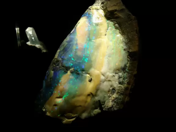 Fantastic museum with huge fossils, amazing dinosaurs, and lovely gems.