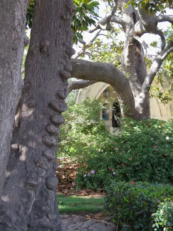 An exceptionally beautiful courthouse, sunken garden, and tower with 360 degree views of Santa Barbara.