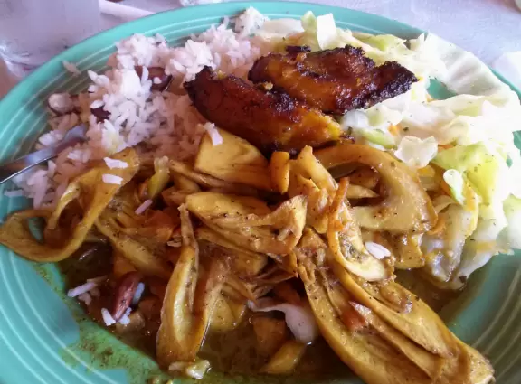 An exciting-feeling university on a gorgeous campus loaded with moss-draped oak trees and tons of shade.