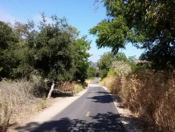 Wide partially shady path that leads through oak forest, past a market, and a Secret Garden with live music, to Avila Beach.
