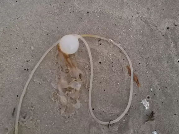 Amazing caves that are almost unreal.