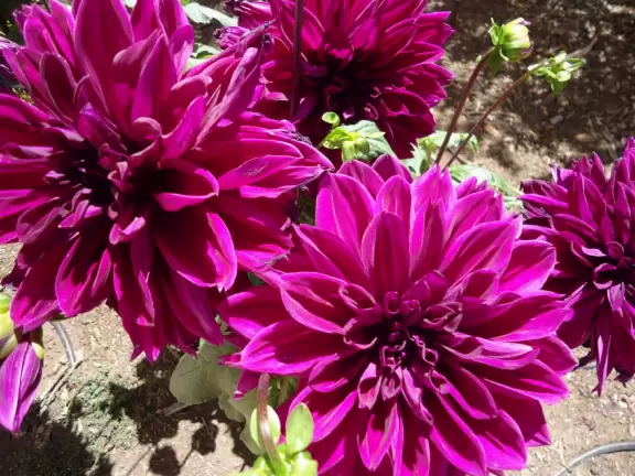 Hearst Castle is like a dream! High, high above the sea!