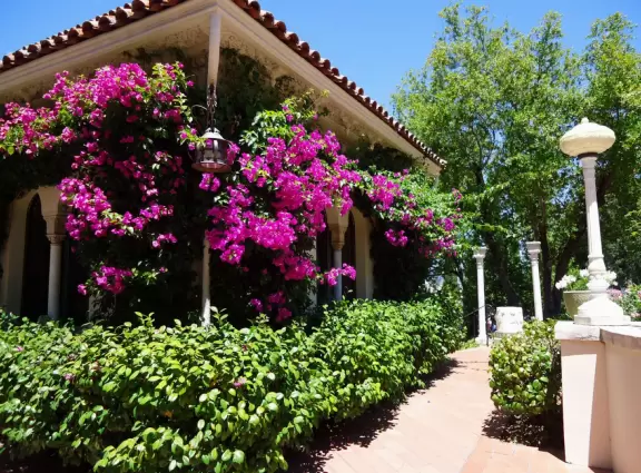 Hearst Castle is like a dream! High, high above the sea!