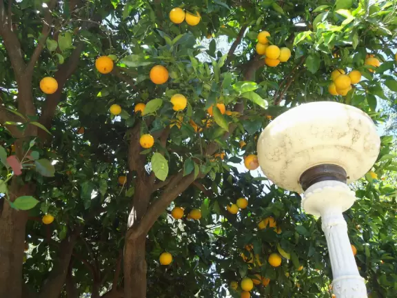 Hearst Castle is like a dream! High, high above the sea!