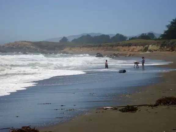 Rugged, windswept beach with large driftwood, kelp balls, and 1.5km wooden boardwalk.