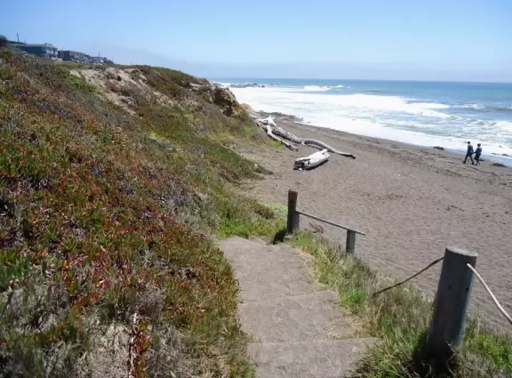 Rugged, windswept beach with large driftwood, kelp balls, and 1.5km wooden boardwalk.