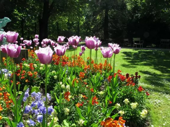 Incredible, large garden near the Sorbonne with flowerbeds, palace, circular pool with toy boats, statues, and tree canopies.