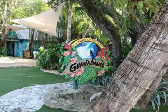 Tropical vegetation at Guanabanas.