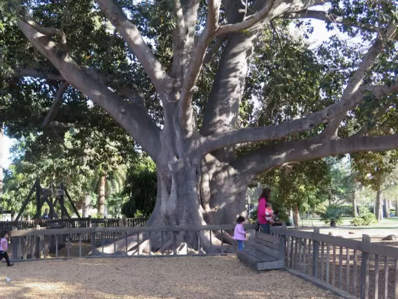 Giant wooden castle playground set among tropical palms.
