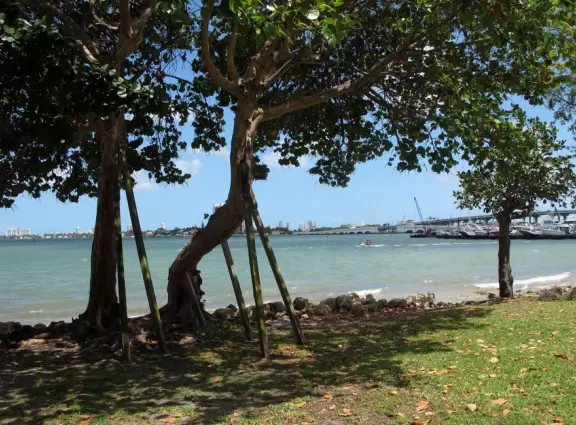 Glorious park on the bright water with a strong cooling breeze, but a little sketchy here and there.
