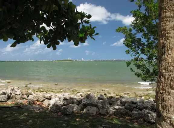 Glorious park on the bright water with a strong cooling breeze, but a little sketchy here and there.
