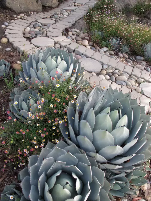 Bike path with views of hills all around, and pretty neighborhood nearby.