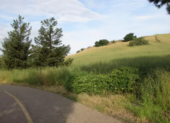 Bike path with views of hills all around, and pretty neighborhood nearby.