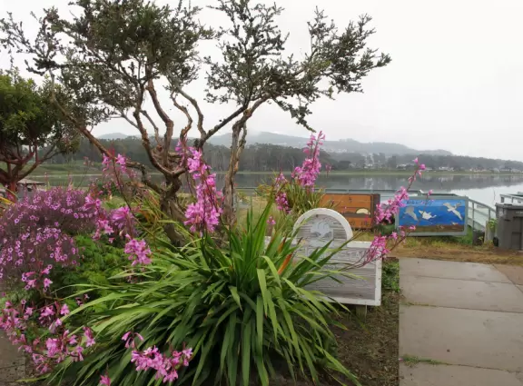 A tiny stretch of boardwalk in a beautiful setting on the estuary, with a coffee shop with a sunny patio facing the water, and cute cafes where you can relax.