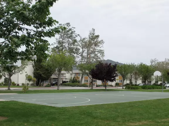 Lovely neighborhood walk past sweet houses and gardens, near fragrant hills with eucalyptus and wildflowers, plus a playground and lawn.