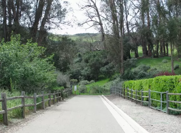 Hike with views of Cerro San Luis and Bishop Peak mountains and town, and then a tranquil valley on the other side.