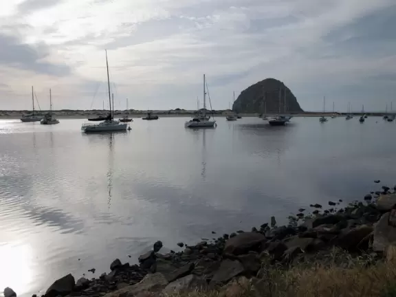 Cement ship playground with logs to climb, seal, dolphin, whale's tail and giant octopus sculptures, picnic tables, and an amazing view of Morro Rock and the inlet.
