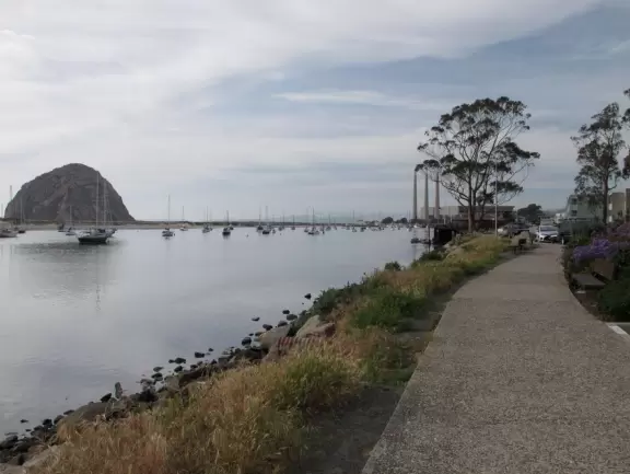 Cement ship playground with logs to climb, seal, dolphin, whale's tail and giant octopus sculptures, picnic tables, and an amazing view of Morro Rock and the inlet.
