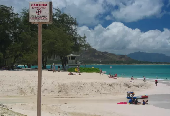 Under the guise of an idyllic location to play, danger lurks....