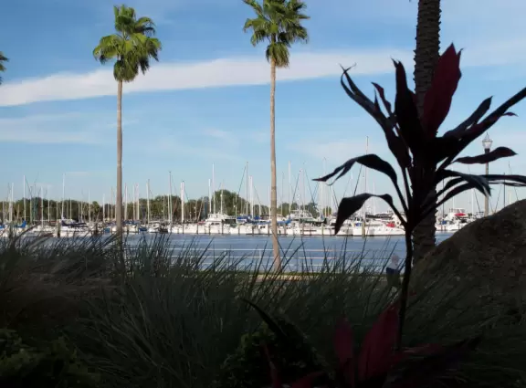 World-class museum of Salvador Dali's art, housed in an architectural masterpiece, with a garden on the bay.