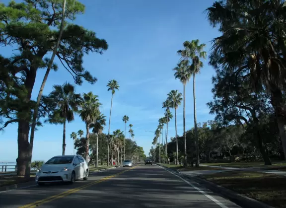 It's wonderful to walk along the St. Joseph Sound under the tall palm trees.
