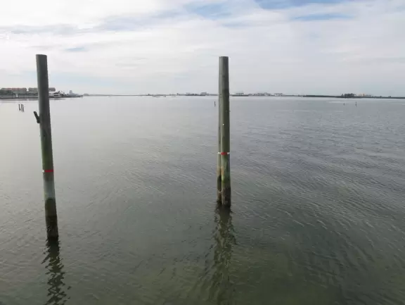 Lovely forest-themed playground, along the bike path, with water and pier across the street.