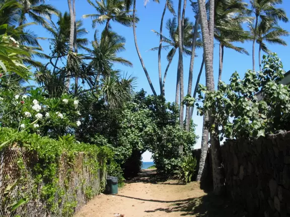 Secluded, thin strip of beach with shallow clear waters.