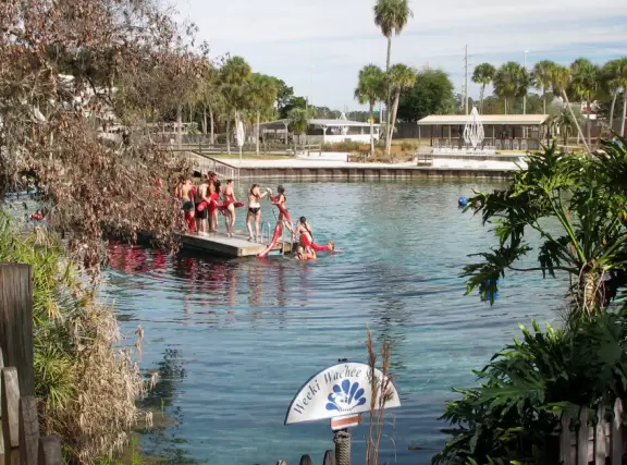 Unique underwater mermaid show in a natural spring. A wonderful experience!