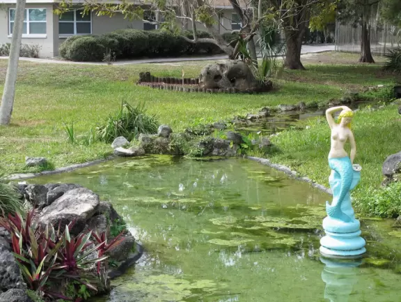 Underwater mermaid show in a natural spring.