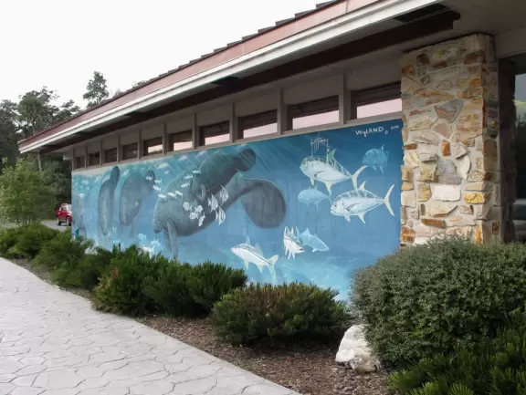 Rescued animals in a forest beside a beautiful spring.