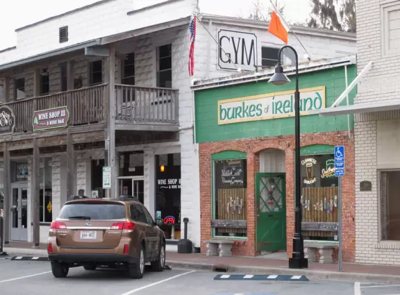 Crystal River is an old Florida town with houses on canals full of natural springs that make the water clear. There are some nice restaurants on the waterfront and on Citrus Ave, the main strip.