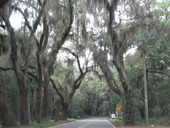 Playground in a forest setting with water/mud play.