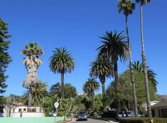 200 steps down to a thin beach, best visited at low tide. Great views!