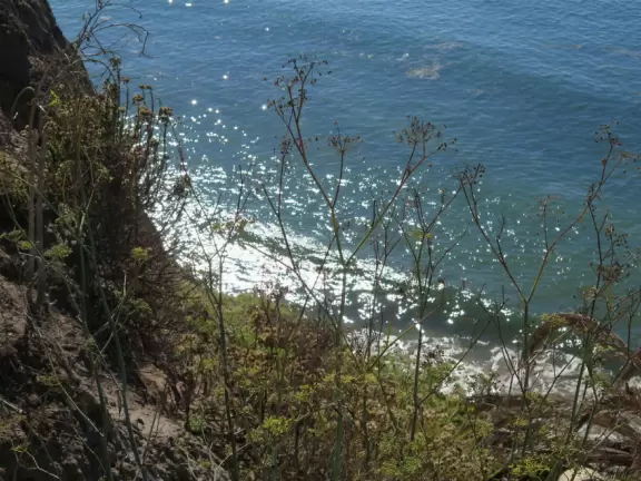 200 steps down to a thin beach, best visited at low tide. Great views!
