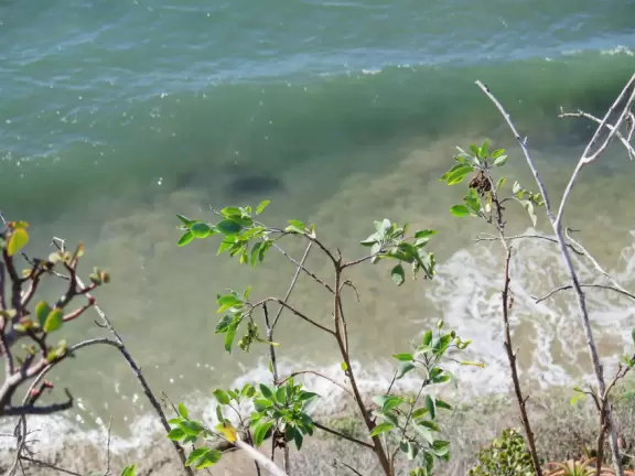 200 steps down to a thin beach, best visited at low tide. Great views!