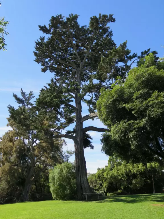 Unusual animals, delightful landscaping, stunning views, train ride through forest, and kids' play hill!